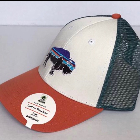 Patagonia Accessories - Patagonia mesh hat